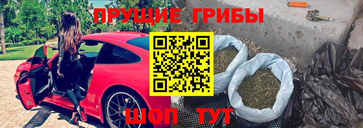 Карачаевск  Галлюциногенные грибы GOLDEN TEACHER  Вход с VPN  Псилоцибиновые грибы мицелий 