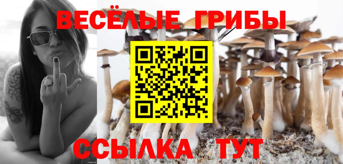 Галлюциногенные грибы ЛСД Карачаевск